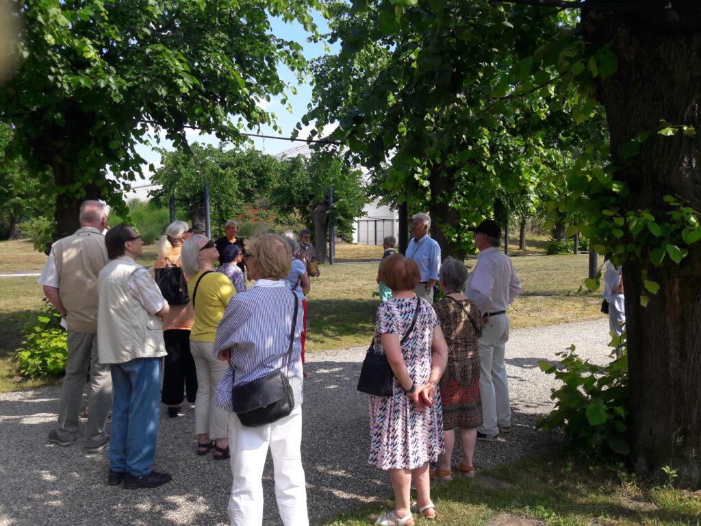 Senioren-Union im Berggarten in Herrenhausen